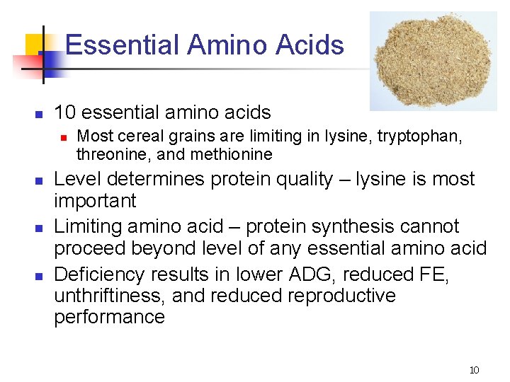Swine Nutrition Management An S 320 Fall 2006