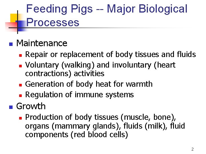 Feeding Pigs -- Major Biological Processes n Maintenance n n n Repair or replacement