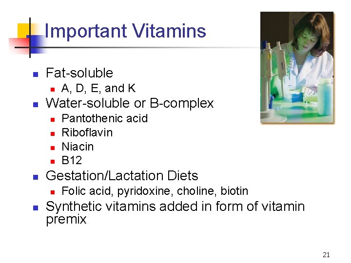 Important Vitamins n Fat-soluble n n Water-soluble or B-complex n n n Pantothenic acid