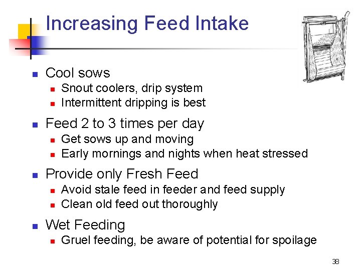 Increasing Feed Intake n Cool sows n n n Feed 2 to 3 times