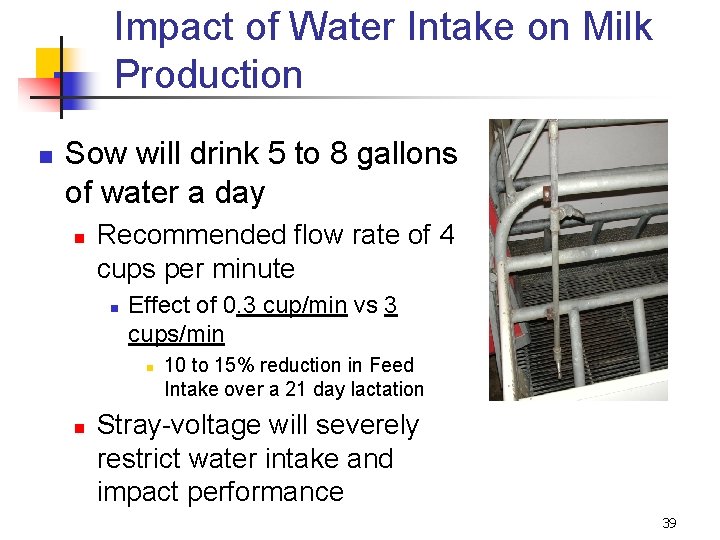 Impact of Water Intake on Milk Production n Sow will drink 5 to 8