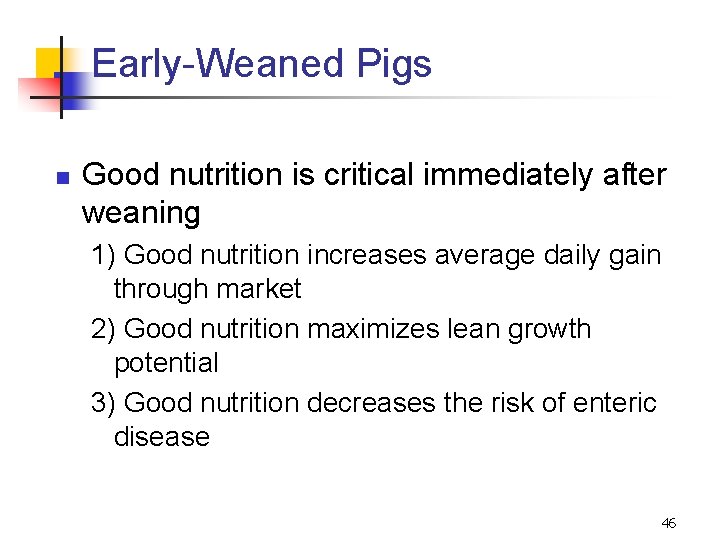 Early-Weaned Pigs n Good nutrition is critical immediately after weaning 1) Good nutrition increases