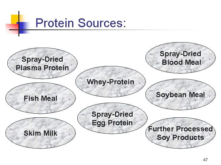 Protein Sources: Spray-Dried Blood Meal Spray-Dried Plasma Protein Whey-Protein Soybean Meal Fish Meal Spray-Dried