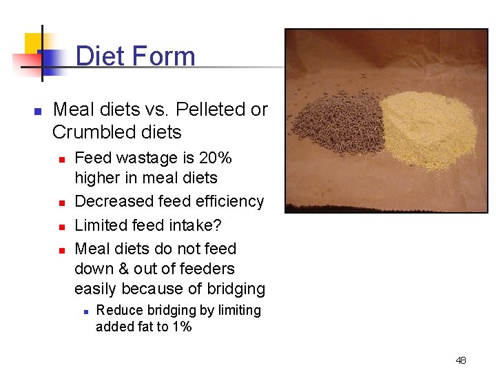 Diet Form n Meal diets vs. Pelleted or Crumbled diets n n Feed wastage