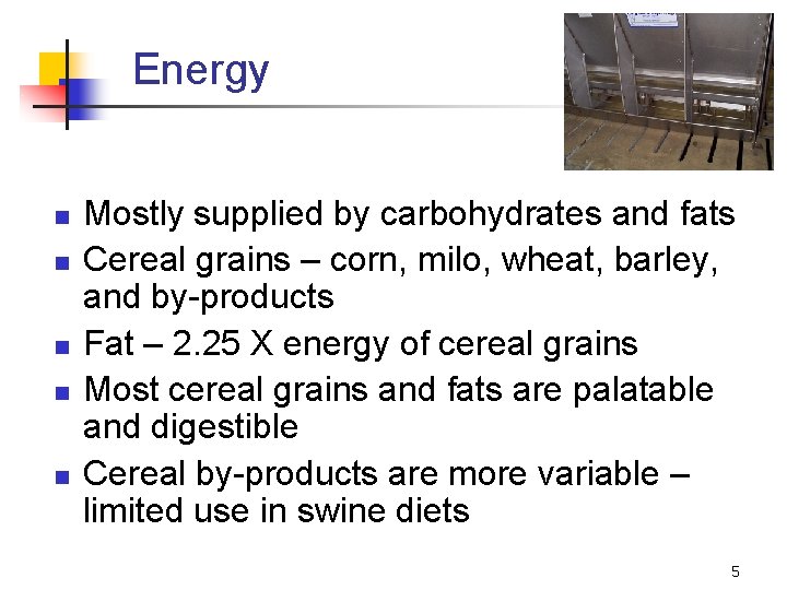 Energy n n n Mostly supplied by carbohydrates and fats Cereal grains – corn,