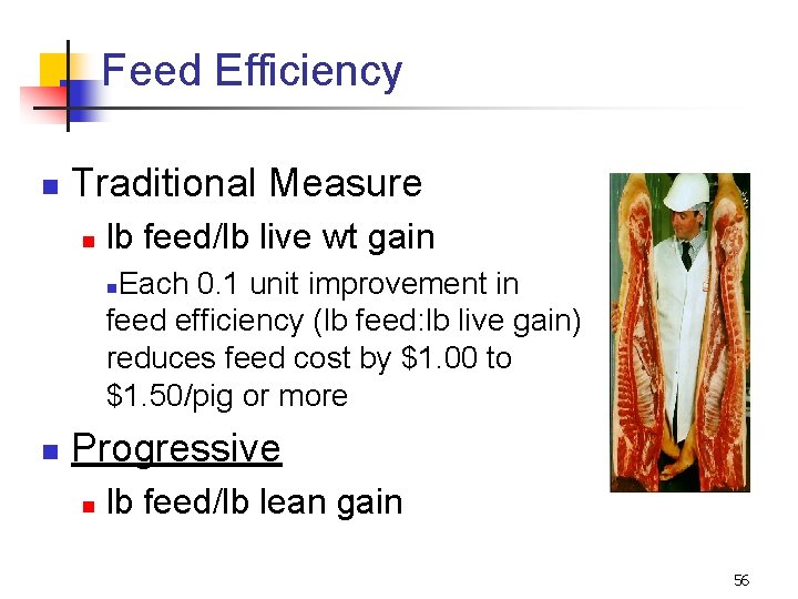 Feed Efficiency n Traditional Measure n lb feed/lb live wt gain Each 0. 1