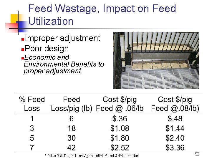 Feed Wastage, Impact on Feed Utilization Improper adjustment n. Poor design n Economic and
