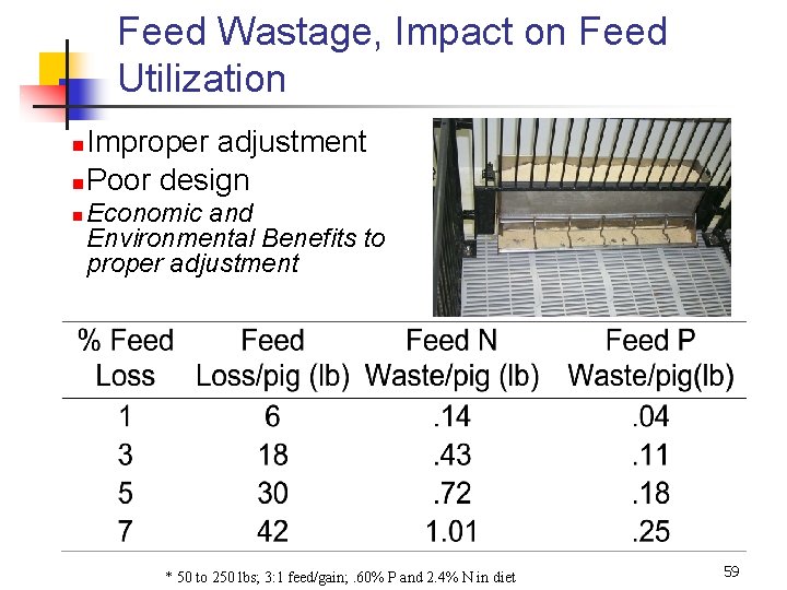 Feed Wastage, Impact on Feed Utilization Improper adjustment n Poor design n n Economic