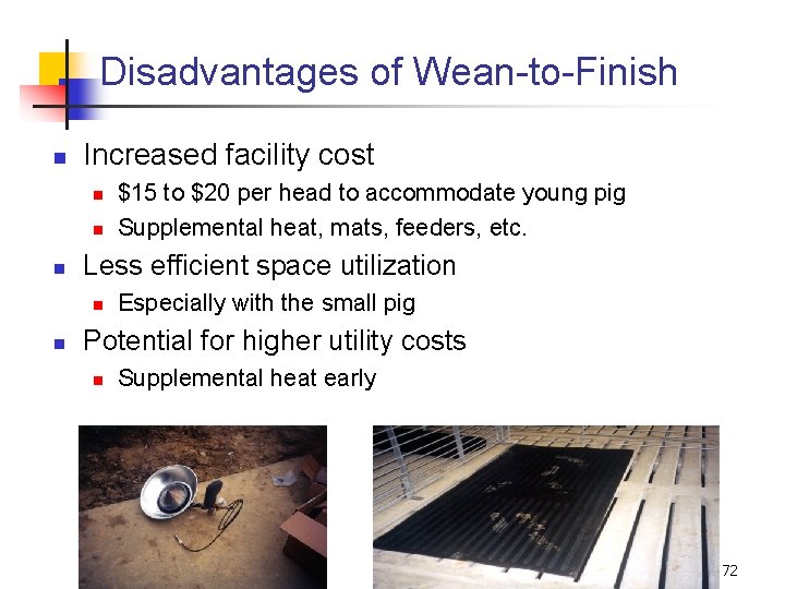 Disadvantages of Wean-to-Finish n Increased facility cost n n n Less efficient space utilization