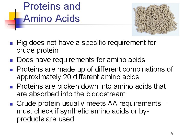 Proteins and Amino Acids n n n Pig does not have a specific requirement
