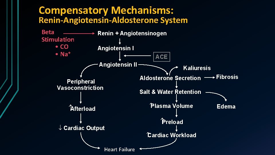 Compensatory Mechanisms: Renin-Angiotensin-Aldosterone System Beta Stimulation • CO • Na+ Renin + Angiotensinogen Angiotensin