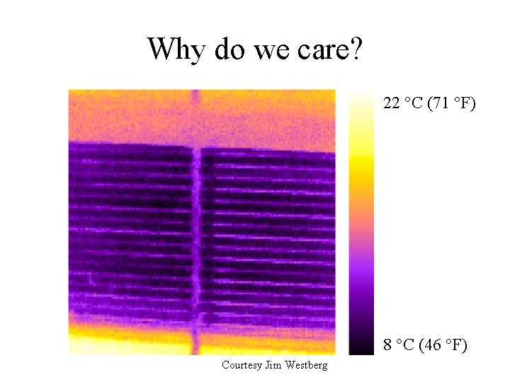 Why do we care? 22 °C (71 °F) 8 °C (46 °F) Courtesy Jim