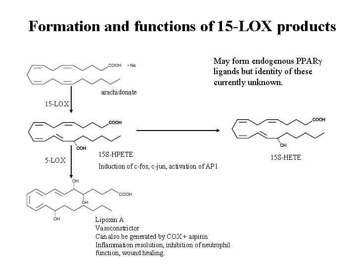 Enzymatic oxidation of lipids mechanisms and functions Valerie