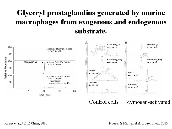 Enzymatic oxidation of lipids mechanisms and functions Valerie