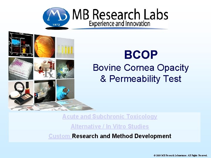 BCOP Bovine Cornea Opacity & Permeability Test Acute and Subchronic Toxicology Alternative / In