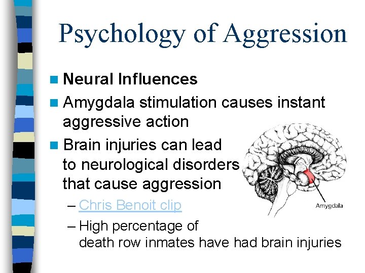Psychology of Aggression n Neural Influences n Amygdala stimulation causes instant aggressive action n