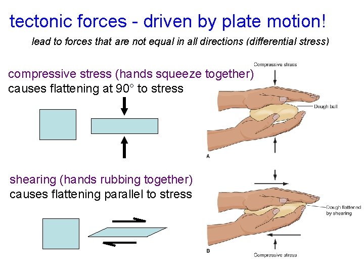 tectonic forces - driven by plate motion! lead to forces that are not equal