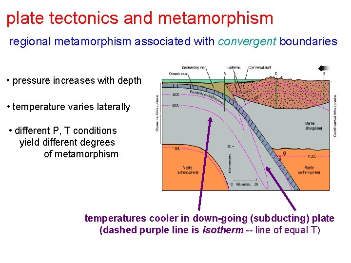 plate tectonics and metamorphism regional metamorphism associated with convergent boundaries • pressure increases with