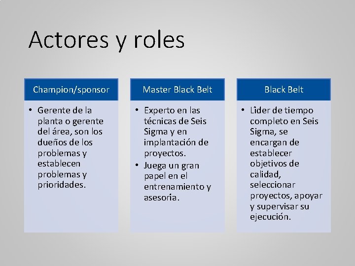 Actores y roles Champion/sponsor • Gerente de la planta o gerente del a rea,