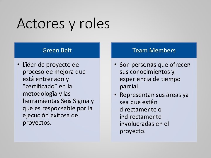 Actores y roles Green Belt Team Members • Li der de proyecto de proceso