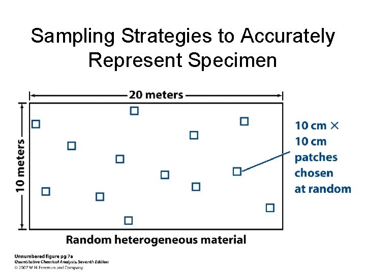 Sampling Strategies to Accurately Represent Specimen Sampling Strategies to Accurately Represent Specimen
