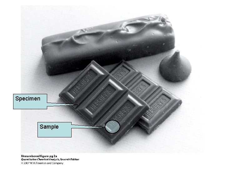 Specimen Sample Specimen Sample