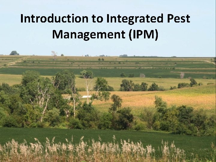Introduction to Integrated Pest Management (IPM) Introduction to Integrated Pest Management (IPM)