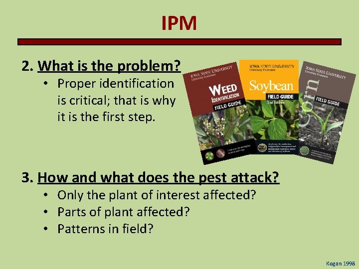 IPM 2. What is the problem? • Proper identification is critical; that is why IPM 2. What is the problem? • Proper identification is critical; that is why