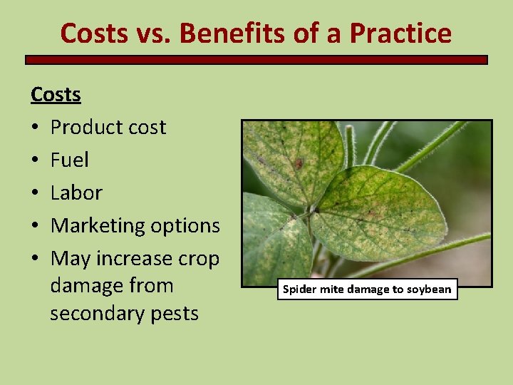 Costs vs. Benefits of a Practice Costs • Product cost • Fuel • Labor Costs vs. Benefits of a Practice Costs • Product cost • Fuel • Labor