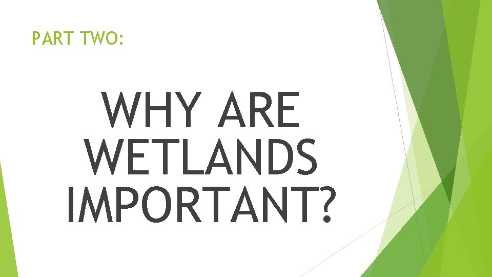 PART TWO: WHY ARE WETLANDS IMPORTANT? 