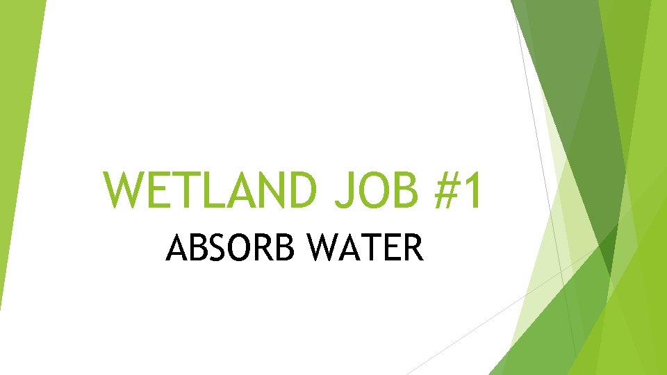 WETLAND JOB #1 ABSORB WATER 