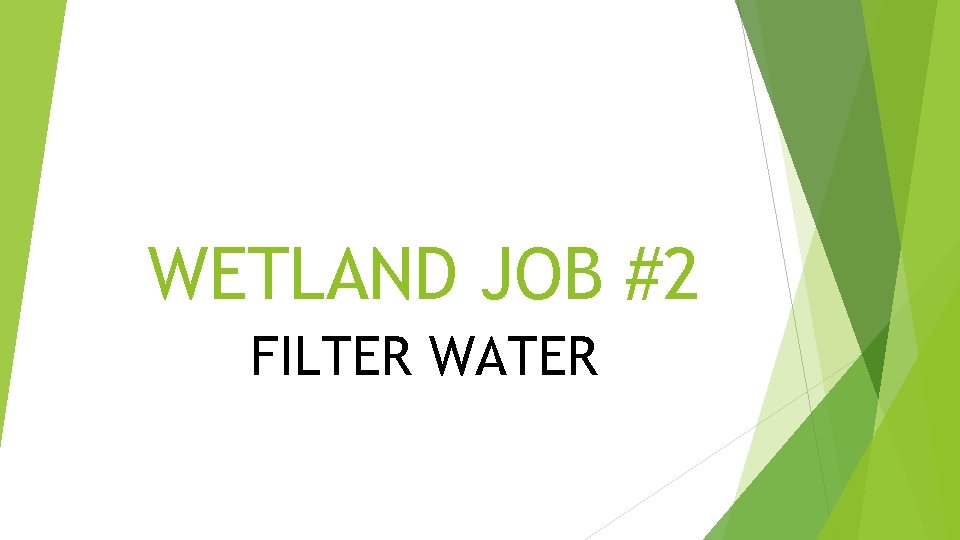 WETLAND JOB #2 FILTER WATER 