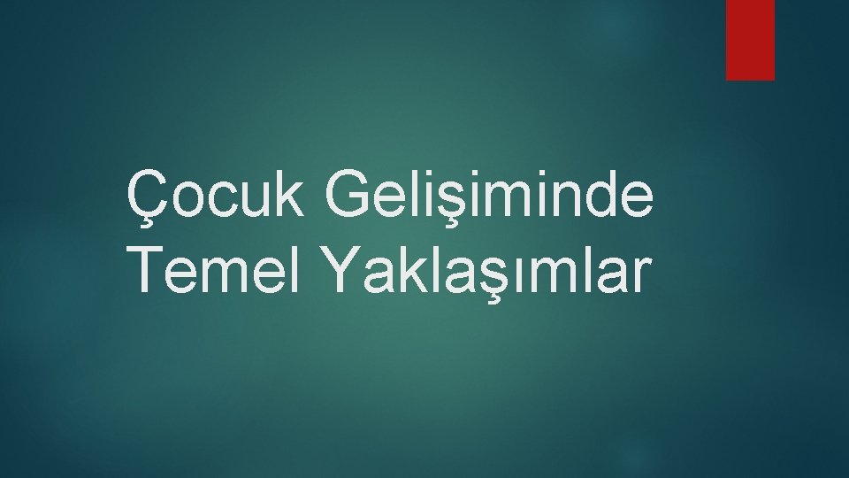 Çocuk Gelişiminde Temel Yaklaşımlar 