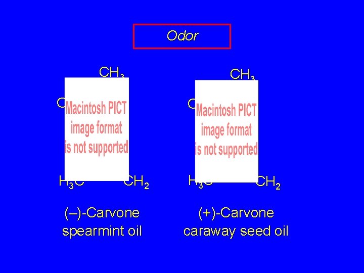 Odor CH 3 O H 3 C CH 3 O CH 2 (–)-Carvone spearmint