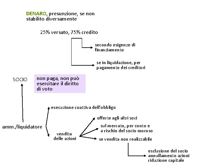 DENARO, presunzione, se non stabilito diversamente 25% versato, 75% credito secondo esigenze di finanziamento