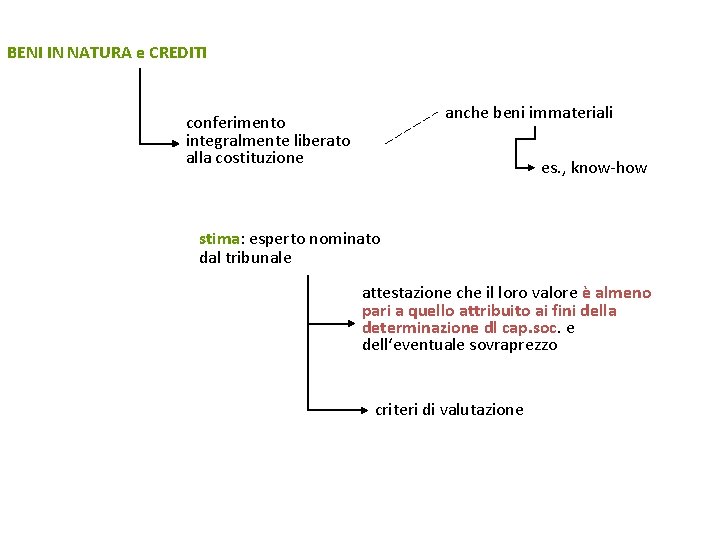 BENI IN NATURA e CREDITI anche beni immateriali conferimento integralmente liberato alla costituzione es.