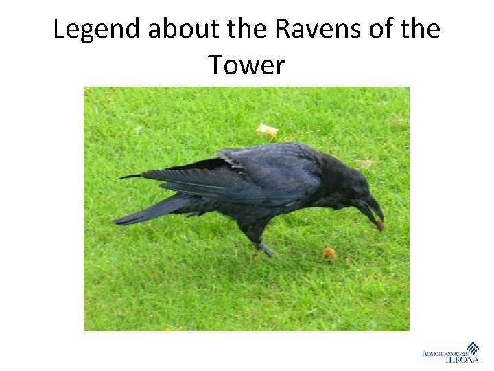 Legend about the Ravens of the Tower 