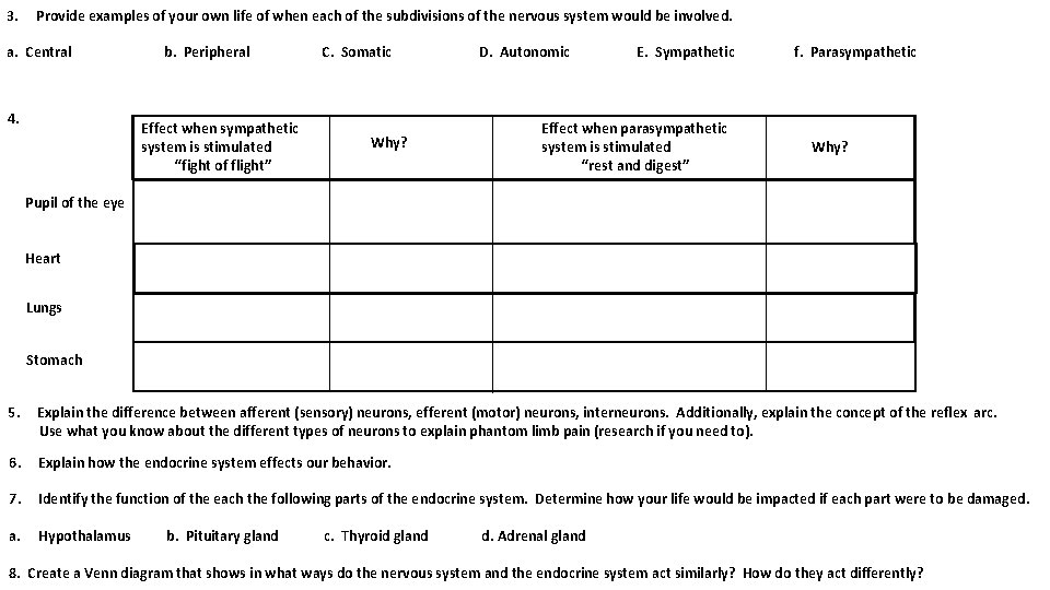 3. Provide examples of your own life of when each of the subdivisions of