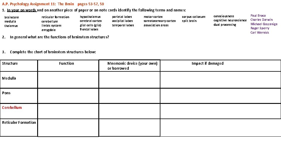 A. P. Psychology Assignment 11: The Brain pages 53 -57, 59 1. In your