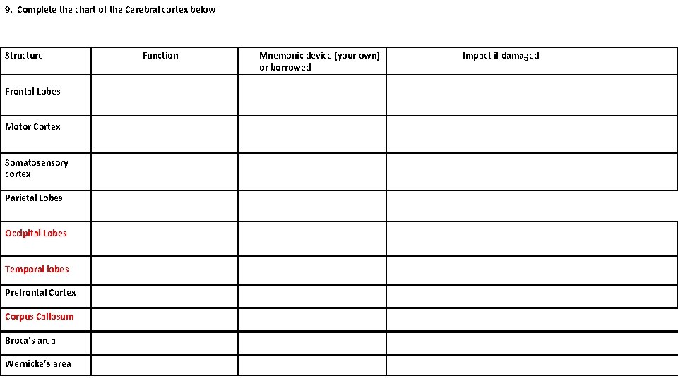 9. Complete the chart of the Cerebral cortex below Structure Frontal Lobes Motor Cortex