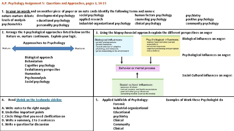 A. P. Psychology Assignment 5: Questions and Approaches, pages 3, 14 -15 1. In