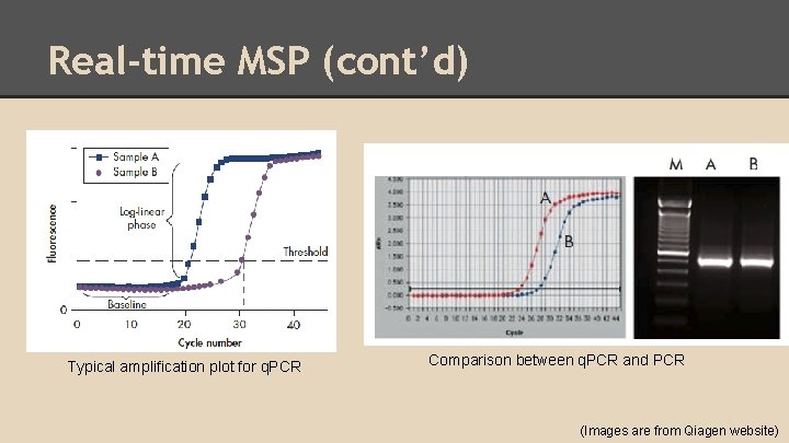 Real-time MSP (cont’d) Typical amplification plot for q. PCR Comparison between q. PCR and