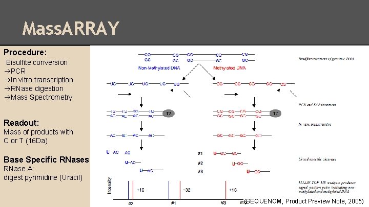 Mass. ARRAY Procedure: Bisulfite conversion PCR In vitro transcription RNase digestion Mass Spectrometry Readout: