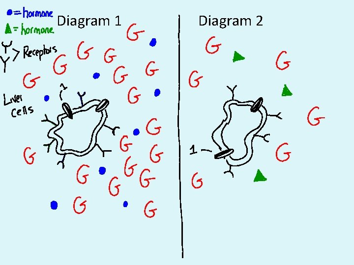 Diagram 1 Diagram 2 