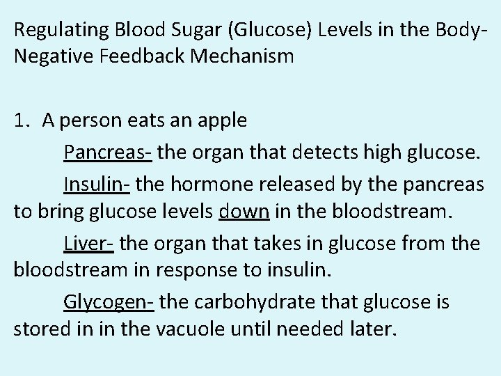 Regulating Blood Sugar (Glucose) Levels in the Body. Negative Feedback Mechanism 1. A person