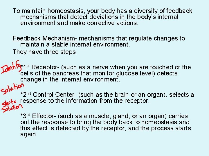 To maintain homeostasis, your body has a diversity of feedback mechanisms that detect deviations