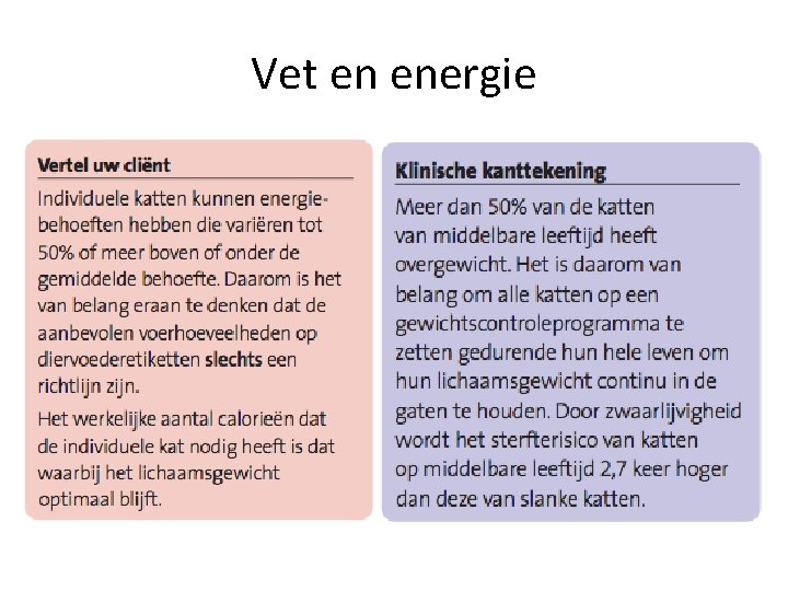 Vet en energie 