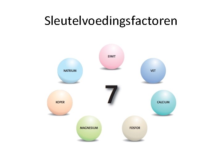 Sleutelvoedingsfactoren 