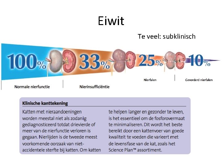 Eiwit Te veel: subklinisch 