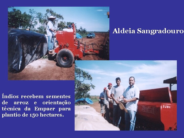 Aldeia Sangradouro Índios recebem sementes de arroz e orientação técnica da Empaer para plantio
